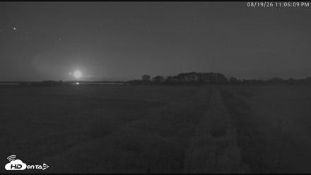 Blackwater Wildlife Refuge Waterfowl Live Webcam - Aug 19, 2026, 11:06pm EDT