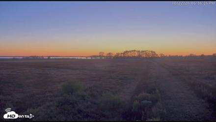 Blackwater Wildlife Refuge Waterfowl Live Webcam - Oct 22, 2026, 6:37pm EDT