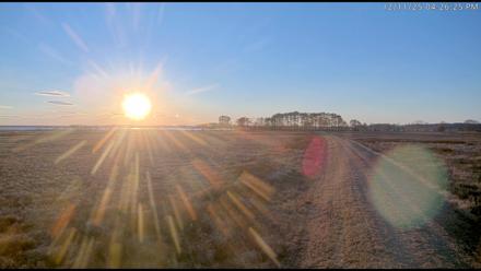 Blackwater Wildlife Refuge Waterfowl Live Webcam - Dec 11, 2025, 4:24pm EST