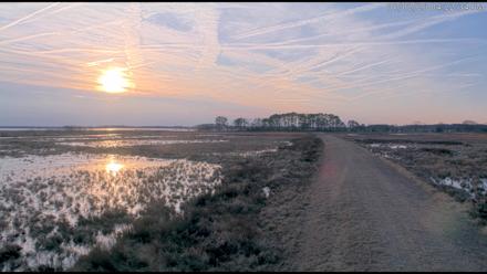 Blackwater Wildlife Refuge Waterfowl Live Webcam - Jan 2, 2026, 4:19pm EST