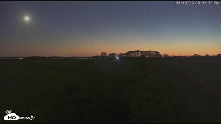 Blackwater Wildlife Refuge Waterfowl Live Webcam - Sep 15, 2026, 8:08pm EDT