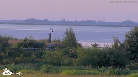 Blackwater Wildlife Refuge Waterfowl Live Webcam - Aug 25, 2026, 7:12am EDT