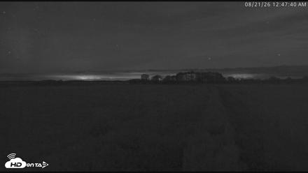 Blackwater Wildlife Refuge Waterfowl Live Webcam - Aug 21, 2026, 12:48am EDT