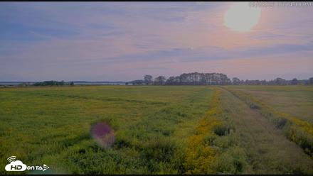 Blackwater Wildlife Refuge Waterfowl Live Webcam - Sep 8, 2026, 6:14pm EDT