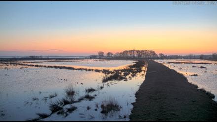 Blackwater Wildlife Refuge Waterfowl Live Webcam - Mar 7, 2026, 6:27pm EST