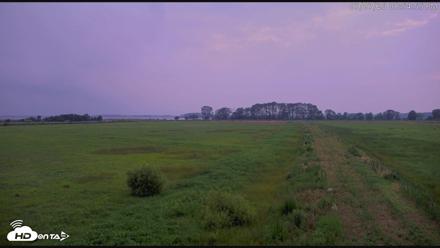 Blackwater Wildlife Refuge Waterfowl Live Webcam - Jul 7, 2026, 8:55pm EDT
