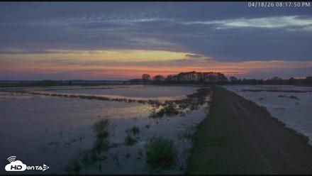 Blackwater Wildlife Refuge Waterfowl Live Webcam - Apr 18, 2026, 8:18pm EDT