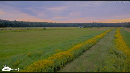 Blackwater Wildlife Refuge Waterfowl Live Webcam - Sep 10, 2026, 7:37am EDT