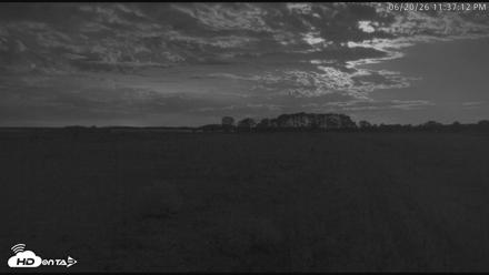 Blackwater Wildlife Refuge Waterfowl Live Webcam - Jun 20, 2026, 11:37pm EDT