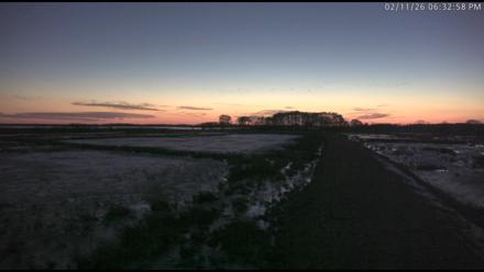 Blackwater Wildlife Refuge Waterfowl Live Webcam - Feb 11, 2026, 6:33pm EST