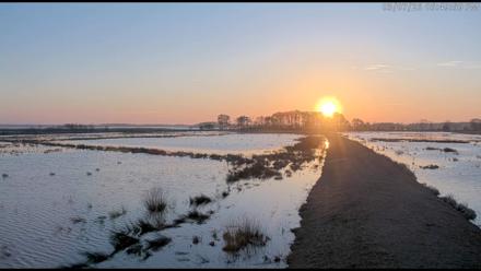 Blackwater Wildlife Refuge Waterfowl Live Webcam - Mar 7, 2026, 5:51pm EST