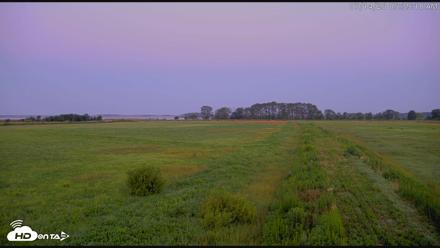 Blackwater Wildlife Refuge Waterfowl Live Webcam - Jul 14, 2026, 5:39am EDT