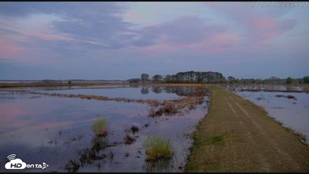 Blackwater Wildlife Refuge Waterfowl Live Webcam - Apr 14, 2026, 6:26am EDT