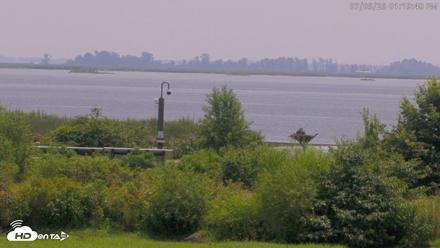 Blackwater Wildlife Refuge Waterfowl Live Webcam - Jul 5, 2026, 1:21pm EDT