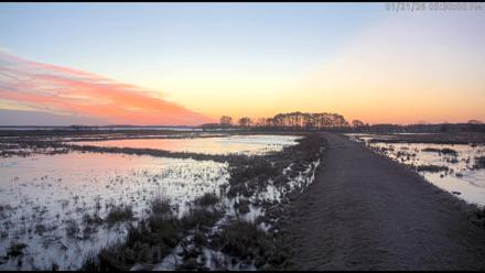 Blackwater Wildlife Refuge Waterfowl Live Webcam - Jan 21, 2026, 5:30pm EST