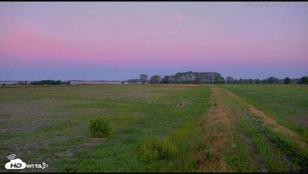 Blackwater Wildlife Refuge Waterfowl Live Webcam - Jun 20, 2026, 5:34am EDT