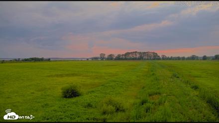 Blackwater Wildlife Refuge Waterfowl Live Webcam - Jul 22, 2026, 7:55pm EDT