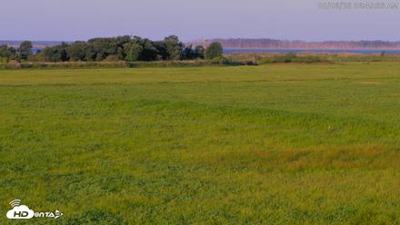 Blackwater Wildlife Refuge Waterfowl Live Webcam - Aug 6, 2026, 6:50am EDT