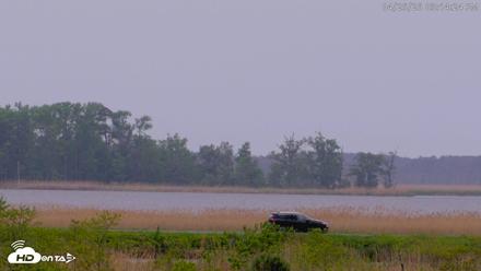 Blackwater Wildlife Refuge Waterfowl Live Webcam - Apr 25, 2026, 3:14pm EDT