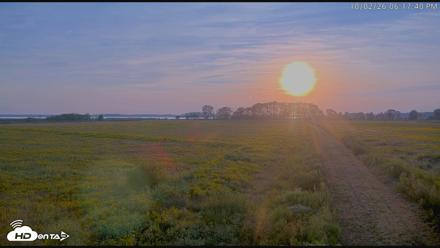 Blackwater Wildlife Refuge Waterfowl Live Webcam - Oct 2, 2026, 6:18pm EDT