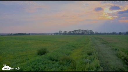 Blackwater Wildlife Refuge Waterfowl Live Webcam - Aug 31, 2026, 6:46pm EDT