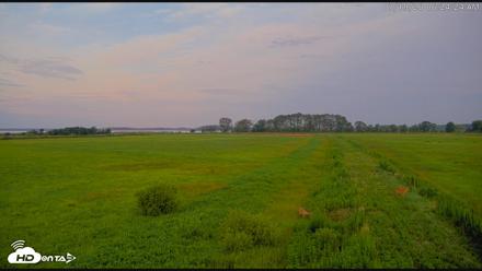Blackwater Wildlife Refuge Waterfowl Live Webcam - Jul 19, 2026, 6:25am EDT
