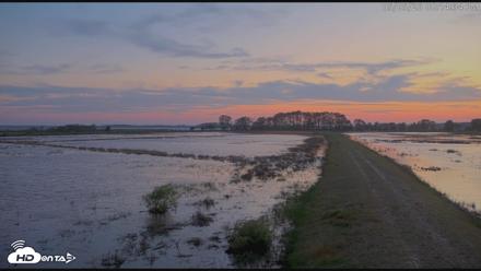 Blackwater Wildlife Refuge Waterfowl Live Webcam - May 5, 2026, 8:15pm EDT