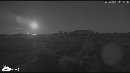 Blackwater Wildlife Refuge Waterfowl Live Webcam - Oct 18, 2026, 11:45pm EDT
