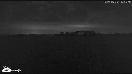 Blackwater Wildlife Refuge Waterfowl Live Webcam - Aug 14, 2026, 1:38am EDT