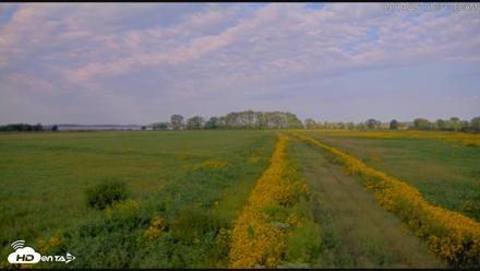 Blackwater Wildlife Refuge Waterfowl Live Webcam - Sep 14, 2026, 8:32am EDT