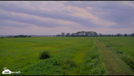 Blackwater Wildlife Refuge Waterfowl Live Webcam - Aug 16, 2026, 7:52pm EDT