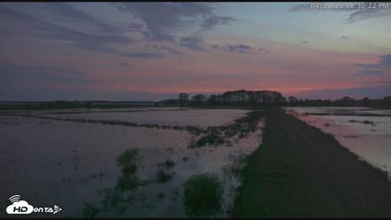 Blackwater Wildlife Refuge Waterfowl Live Webcam - Apr 24, 2026, 8:31pm EDT