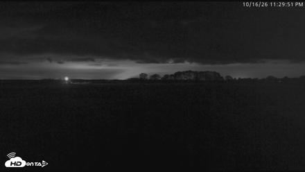 Blackwater Wildlife Refuge Waterfowl Live Webcam - Oct 16, 2026, 11:30pm EDT