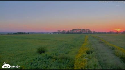 Blackwater Wildlife Refuge Waterfowl Live Webcam - Sep 9, 2026, 7:18pm EDT