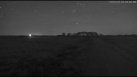 Blackwater Wildlife Refuge Waterfowl Live Webcam - Dec 1, 2025, 5:43am EST