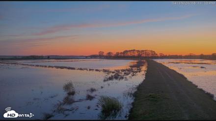 Blackwater Wildlife Refuge Waterfowl Live Webcam - Apr 19, 2026, 8:12pm EDT