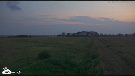 Blackwater Wildlife Refuge Waterfowl Live Webcam - Aug 15, 2026, 8:33pm EDT