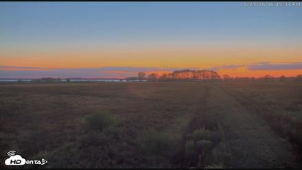 Blackwater Wildlife Refuge Waterfowl Live Webcam - Oct 23, 2026, 6:46pm EDT