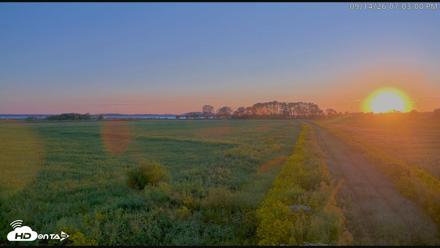 Blackwater Wildlife Refuge Waterfowl Live Webcam - Sep 14, 2026, 7:03pm EDT