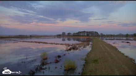 Blackwater Wildlife Refuge Waterfowl Live Webcam - Apr 14, 2026, 6:35am EDT