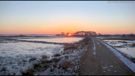 Blackwater Wildlife Refuge Waterfowl Live Webcam - Feb 10, 2026, 5:34pm EST