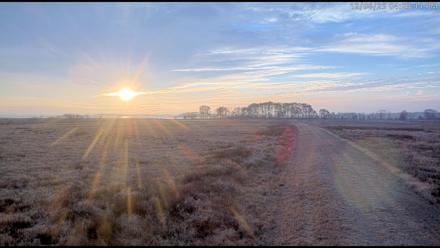 Blackwater Wildlife Refuge Waterfowl Live Webcam - Dec 6, 2025, 4:21pm EST