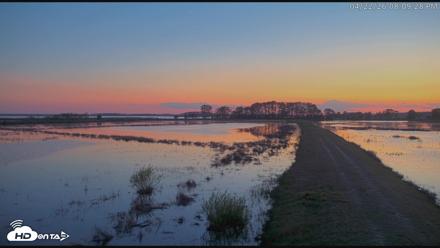 Blackwater Wildlife Refuge Waterfowl Live Webcam - Apr 22, 2026, 8:10pm EDT