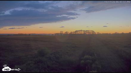 Blackwater Wildlife Refuge Waterfowl Live Webcam - Oct 17, 2026, 6:43pm EDT
