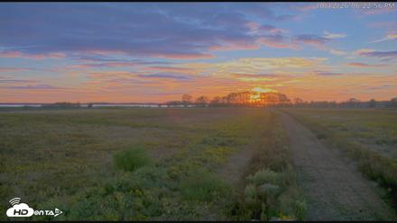Blackwater Wildlife Refuge Waterfowl Live Webcam - Oct 12, 2026, 6:23pm EDT