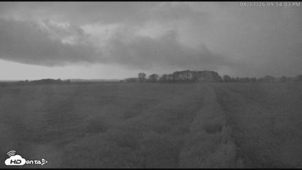 Blackwater Wildlife Refuge Waterfowl Live Webcam - Aug 17, 2026, 9:54pm EDT