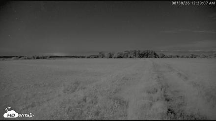 Blackwater Wildlife Refuge Waterfowl Live Webcam - Aug 30, 2026, 12:29am EDT