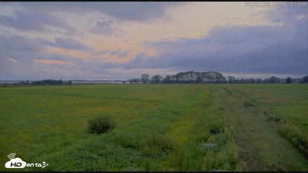 Blackwater Wildlife Refuge Waterfowl Live Webcam - Aug 22, 2026, 7:56pm EDT