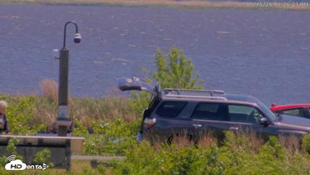 Blackwater Wildlife Refuge Waterfowl Live Webcam - May 15, 2026, 1:28pm EDT