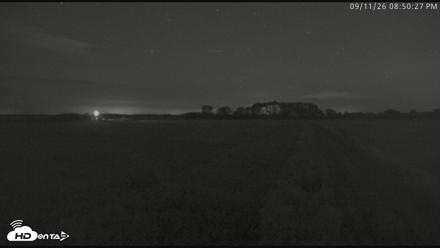 Blackwater Wildlife Refuge Waterfowl Live Webcam - Sep 11, 2026, 8:52pm EDT